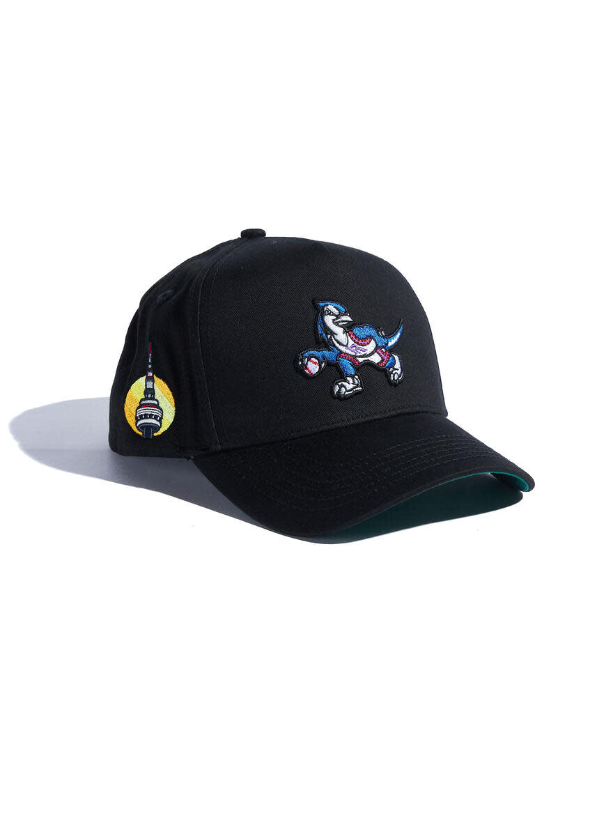 Reference Rapjays Hat